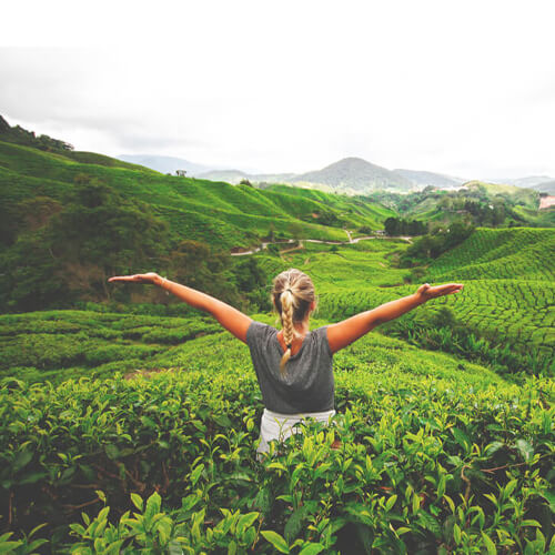 Malaysia Delight with Genting Highland