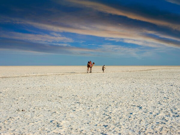 White Rann Utsav (Premium Ac Tents - 2 Nights 3 Days)