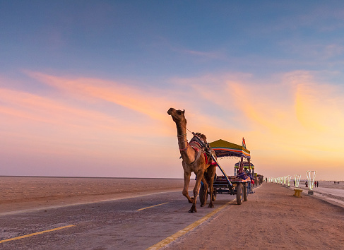 Rann Utsav - The Tent City (Premium Tent 1 Night and 2 Days)