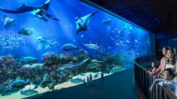 S.E.A. Aquarium Ticket