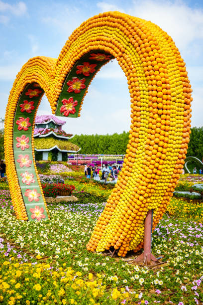 Miracle Garden Dubai