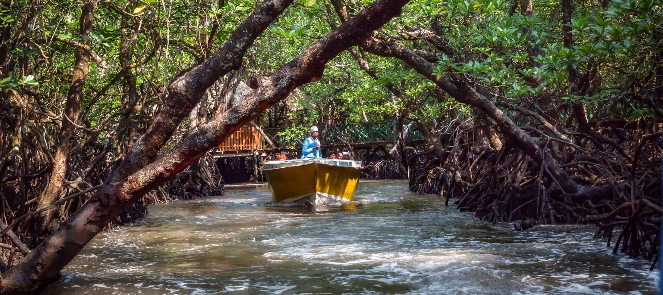 andaman baratang tour