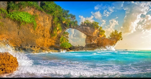 Exotic Andaman
